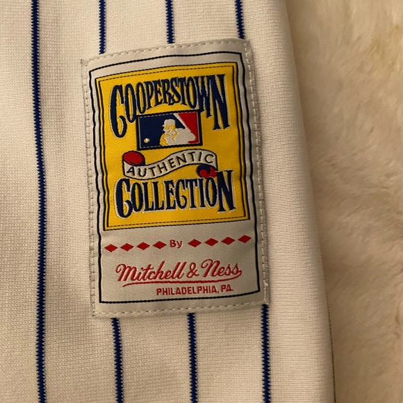 Authentic Mitchell & Ness Andre Dawson Jersey - Picture 4 of 7